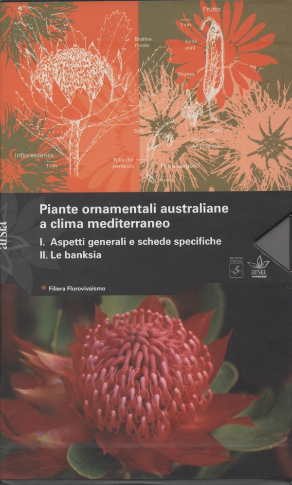 Piante ornamentali australiane a clima mediterraneo